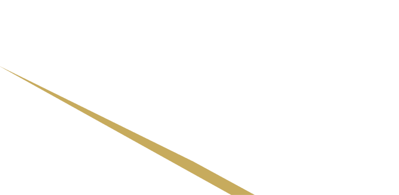 The Grid - Championnats Sim Racing